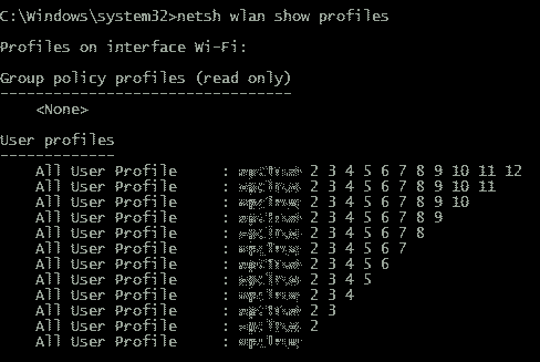 netsh_show.gif