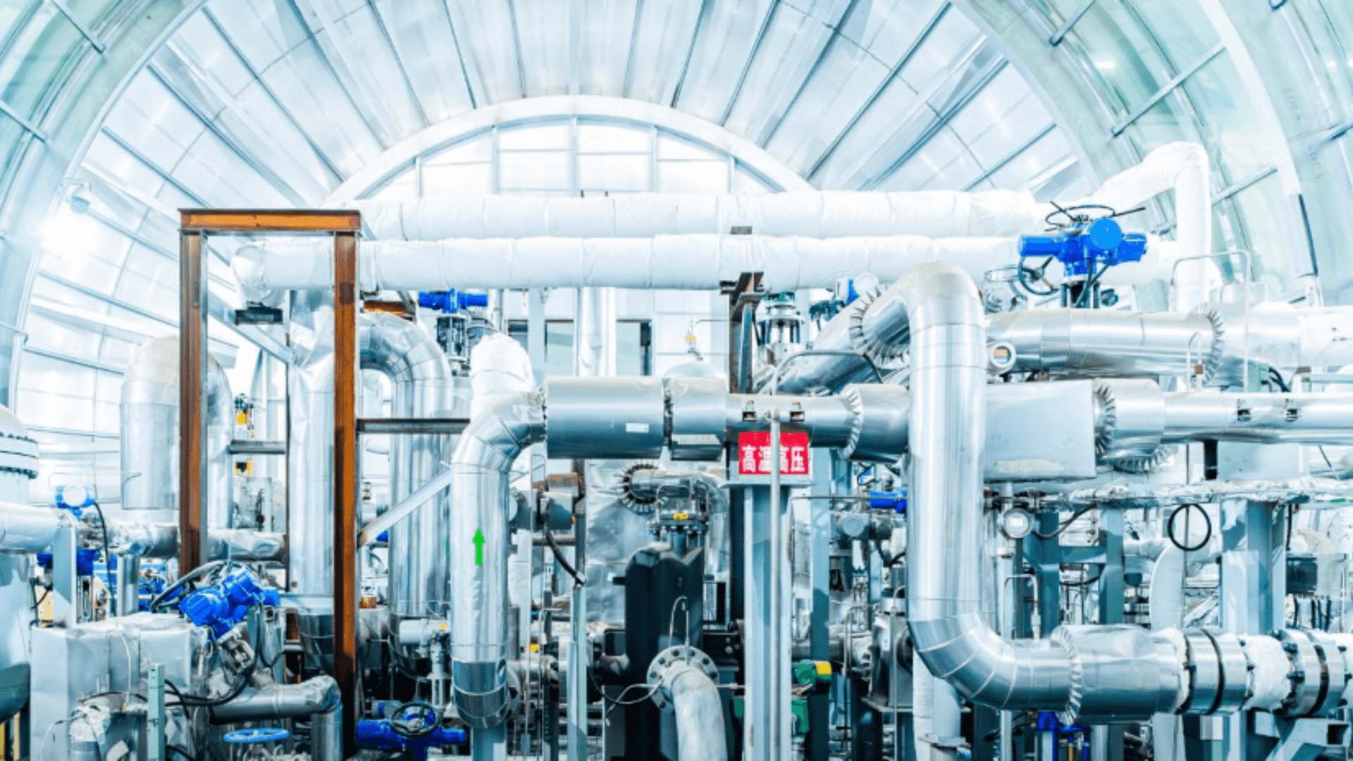 tw-nl.translate.goog