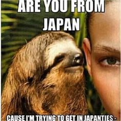 fc2ab2c3a1e763c07d43dcb4ea133bfb--sloth-humor-sloth-memes.jpg